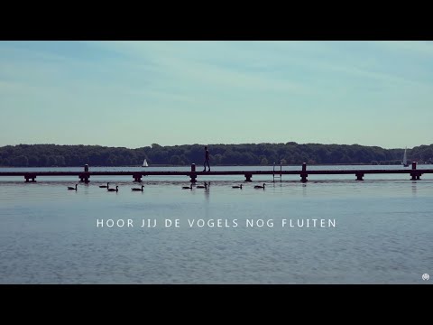 Hoor jij de vogels nog fluiten - Christian Verwoerd