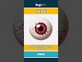 eyeball (noun) - definition and usage in English