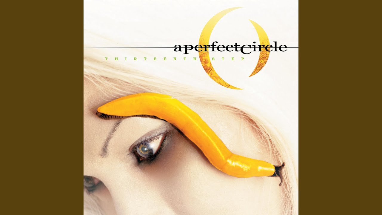A Perfect Circle - The Noose