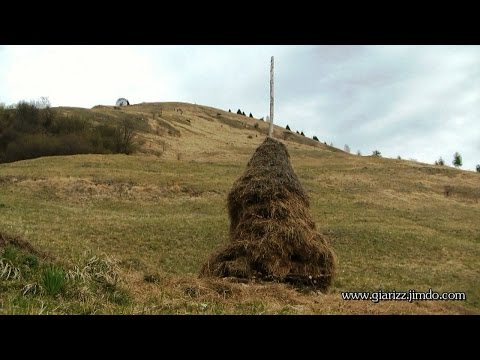 Salita al Monte Palmar