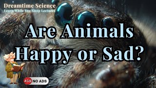 The Emotional Web of the Animal World