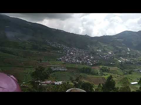 mencoba berdamai dengan kenyataan