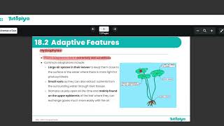 Adaptive features