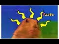 Dramatic Chipmunk Has Spidey Sense