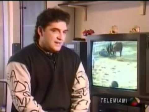 bull terrier vs toro