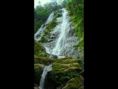 🔴 4k Beautiful Jungle Waterfall Vertical Video - Nature Scenery for Relaxation, Meditation & Sleep