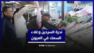 ندرة السردين وغلاء الأسعار... تجار السمك في العيون يكشفون الأسباب‎ thumbnail