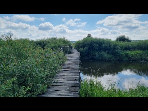 Narew in Podlachien (Grenzgebiet Polen/Weißrussland) selbstgebaute Brücke über den Fluss Narew 🇵🇱