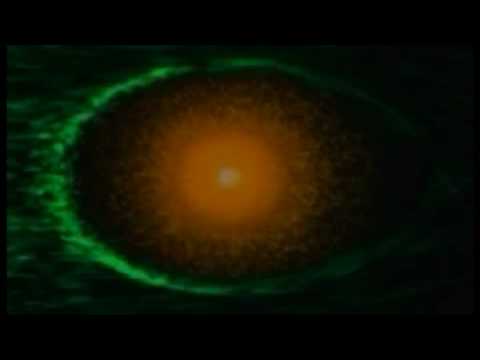 Groove Armada - Lightsonic  /music video/