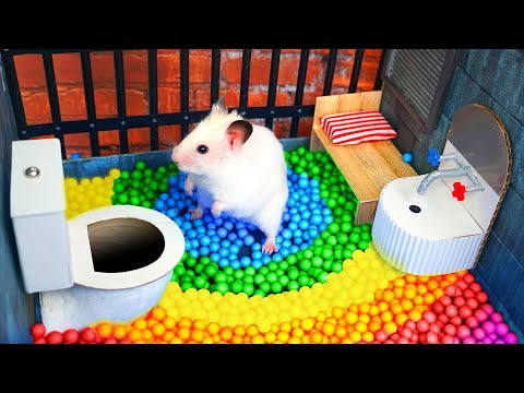 Hamster Escapes the Awesome Maze for Pets in real life ???? The Best Hamster Challenges