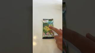 Chinese 151 ✨#pokemon #shorts #pokemontcg #packopenning
