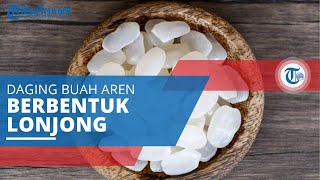 Kolang-kaling, Daging Buah Aren yang Berbentuk Lonjong, Berwarna Putih Bening, dan Terasa Kenyal