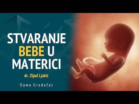 STVARANJE BEBE U MATERICI - dr. Zijad Ljakić