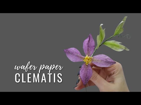 , title : 'How to make Wafer Paper Clematis |  FREE TEMPLATE | Anna Astashkina'