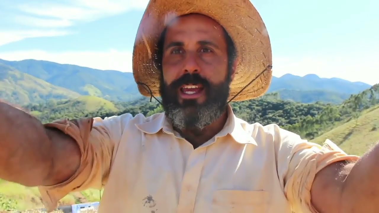 Telhado mulch/telhado verde sem terra (canal chico abelha)