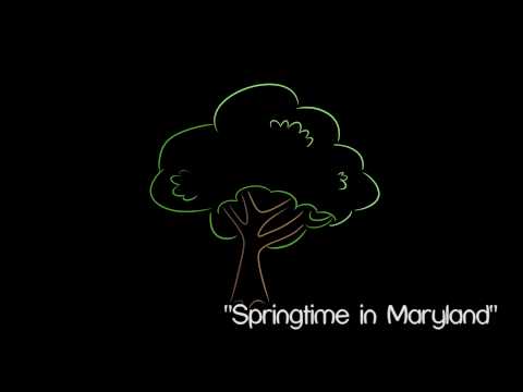 Video thumbnail for Springtime in Maryland