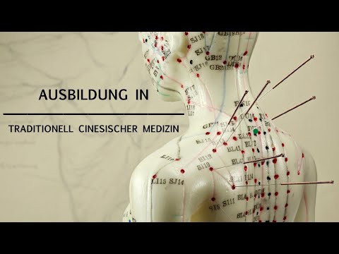 TCM Chinesische Medizin Ausbildung bei Guido Hoenig Mingmen -Ausbildungen