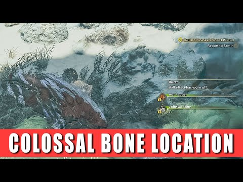 Mhr Colossal Bone