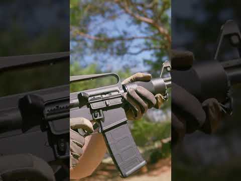 Why The Kitty Kat Exists