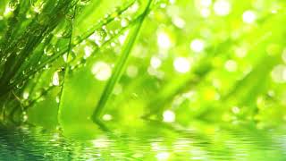 You Can't Lead A Horse To Water