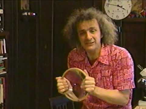 ZDTV Cliff's Notes - Computers in Schools