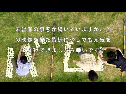 【プロジェクト紹介】菊の花活用プロジェクト