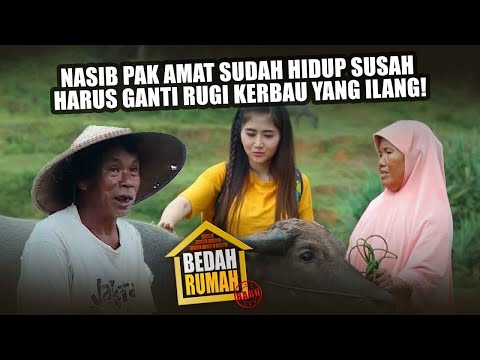 BEDAH RUMAH EPISODE 169 - Nasib Pak Amat Sudah Hidup Susah & Harus Ganti Rugi Kerbau Yang Ilang!