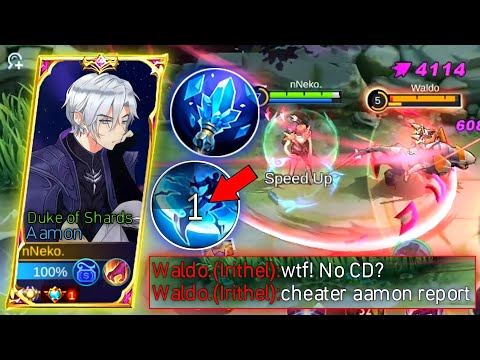 THIS AAMON FLEETING TIME BUILD! 2X COOLDOWN & DAMAGE BURST!