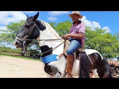 Feira de cavalo de Altinho Pernambuco, Lindos potro e cavalos de luxo #nordeste 