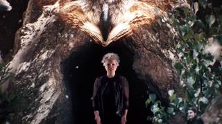 Wallis Bird - Control