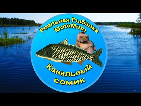 Как поймать Канального сомика на Рыбхозе [NEW] | Реальная Рыбалка