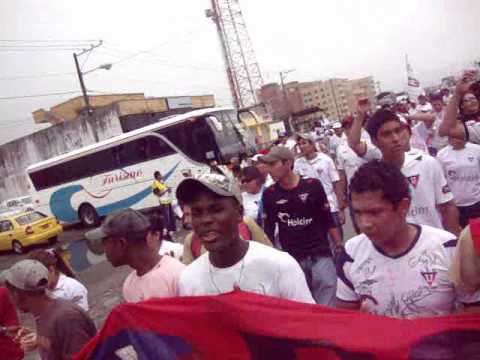 MUERTE BLANCA EN  SANTO DOMINGO