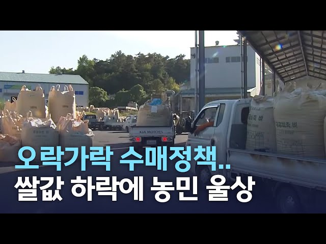 산지 쌀값 하락..수매 정책 변화 필요