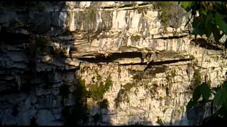 preview picture of video 'Cave of Swallows, Huasteca Country - Hundreds of birds flying away'