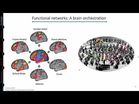 PhD Defense: Mapping Genome-wide Neuropsychiatric Mutation Effects On Functional Brain Connectivity