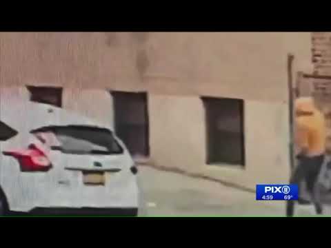 THIS IS THE SECOND FOOTAGE OF THE ISSUE WITH AI HOUND