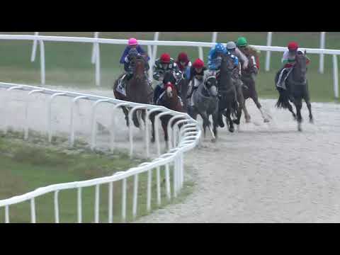 2018.08.05. 08. futam - MINCZI HENDIKEP (IV.o.) (szintetikus pálya)