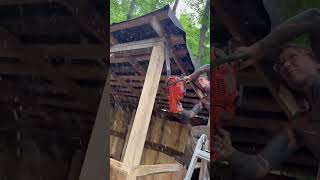 Ladders and chainsaws do mix if you’re good enough #chainsaw #woodworking #sawmill #offgrid #nature
