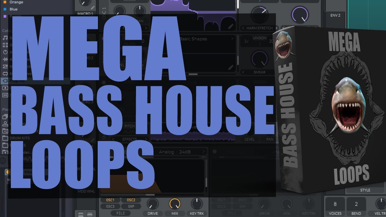 FREE BASS HOUSE LOOP PACK ''MEGA'' ?!!!