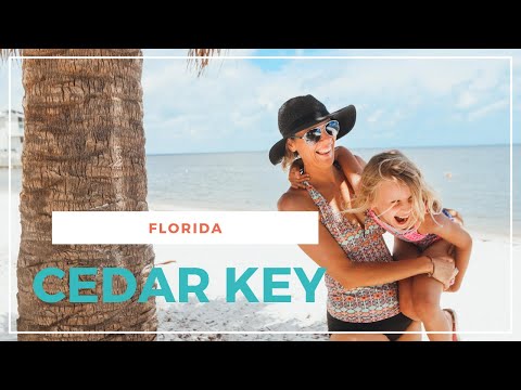 image-Is Cedar Key busy?