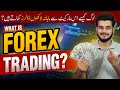 What Is Forex Trading For Beginners Forex Trading Crash Course