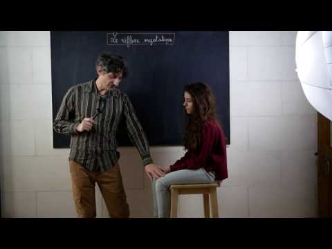 réflexe myotatique, première partie