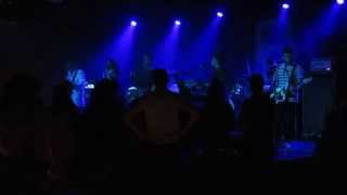 The Rentals - Stardust (live)