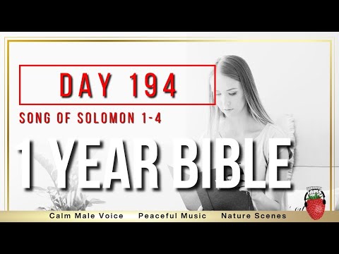 Day 194 | Song of Solomon Chapters 1  - 4 | NIV | One Year Bible