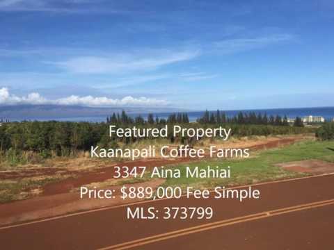 Kaanapali Coffee Farms   Vacant Land   3347 Aina Mahiai