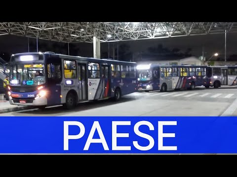 Operação PAESE - Linha 8 Diamante Movimentação de Ônibus