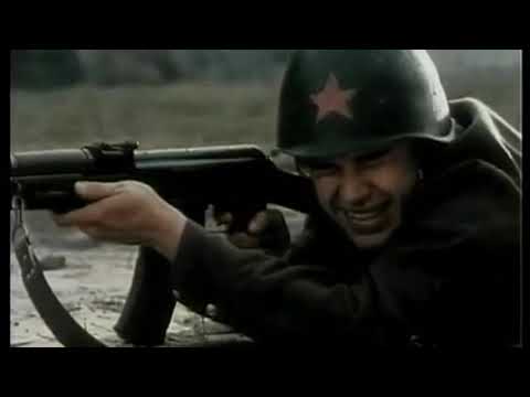 Марко Стех - відео обкладинка