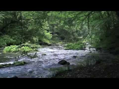 Bode Valley Impressions