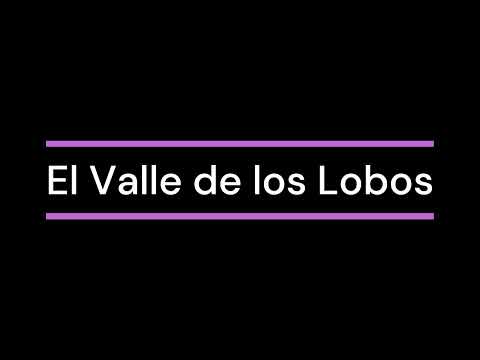 [RESUMEN] El Valle de los Lobos - Laura Gallego