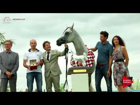 1st PLACE  N.62 NADEEM EL ARAB - Chantilly 2017 World Cup - Colts Championship (Class 15)